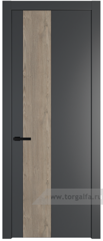 Глухая дверь ProfilDoors 19PW вставка Каштан темный с молдингом Черный матовый (Графит (Pantone 425С))