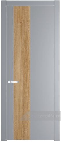 Глухая дверь ProfilDoors 19PW вставка Дуб Карамель с молдингом Серебро (Смоки (RAL 870-02))