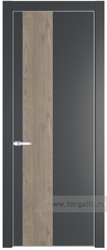 Глухая дверь ProfilDoors 19PA вставка Каштан темный с профилем Серебро (Графит (Pantone 425С))