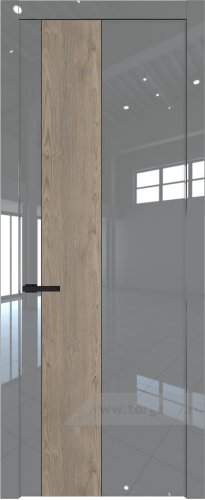Глухая дверь ProfilDoors 19LW вставка Каштан темный с молдингом Черный матовый (Грей люкс)